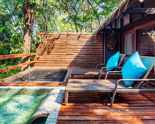 Canopy Plunge Pool Suite